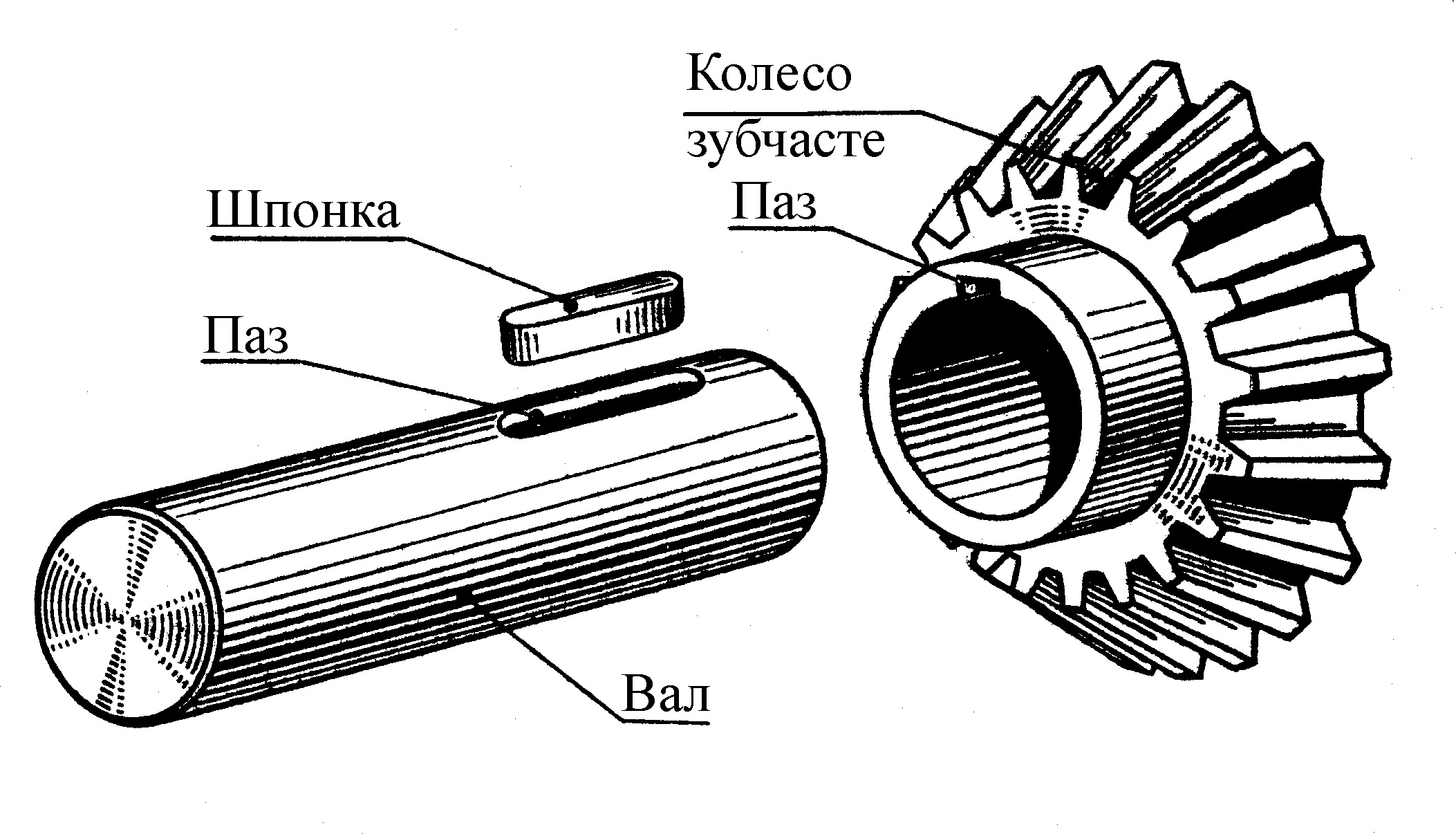 Чертеж